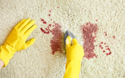 100% Guaranteed Red Stain Removal from Carpet | Red Spot Removal | Kool Aid Stain Removal