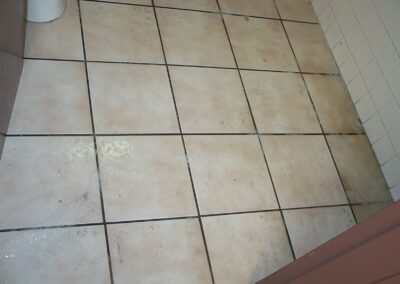 Picture shows a bathroom tile floor before cleaning