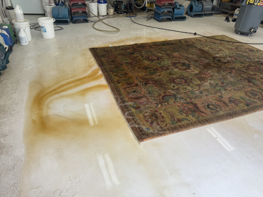 Lc-urine-rug-1