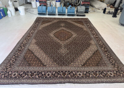 Picture show a Persian Mahi Tabriz after cleaning