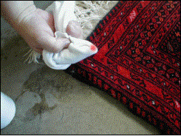 Colorfast testing an area rug